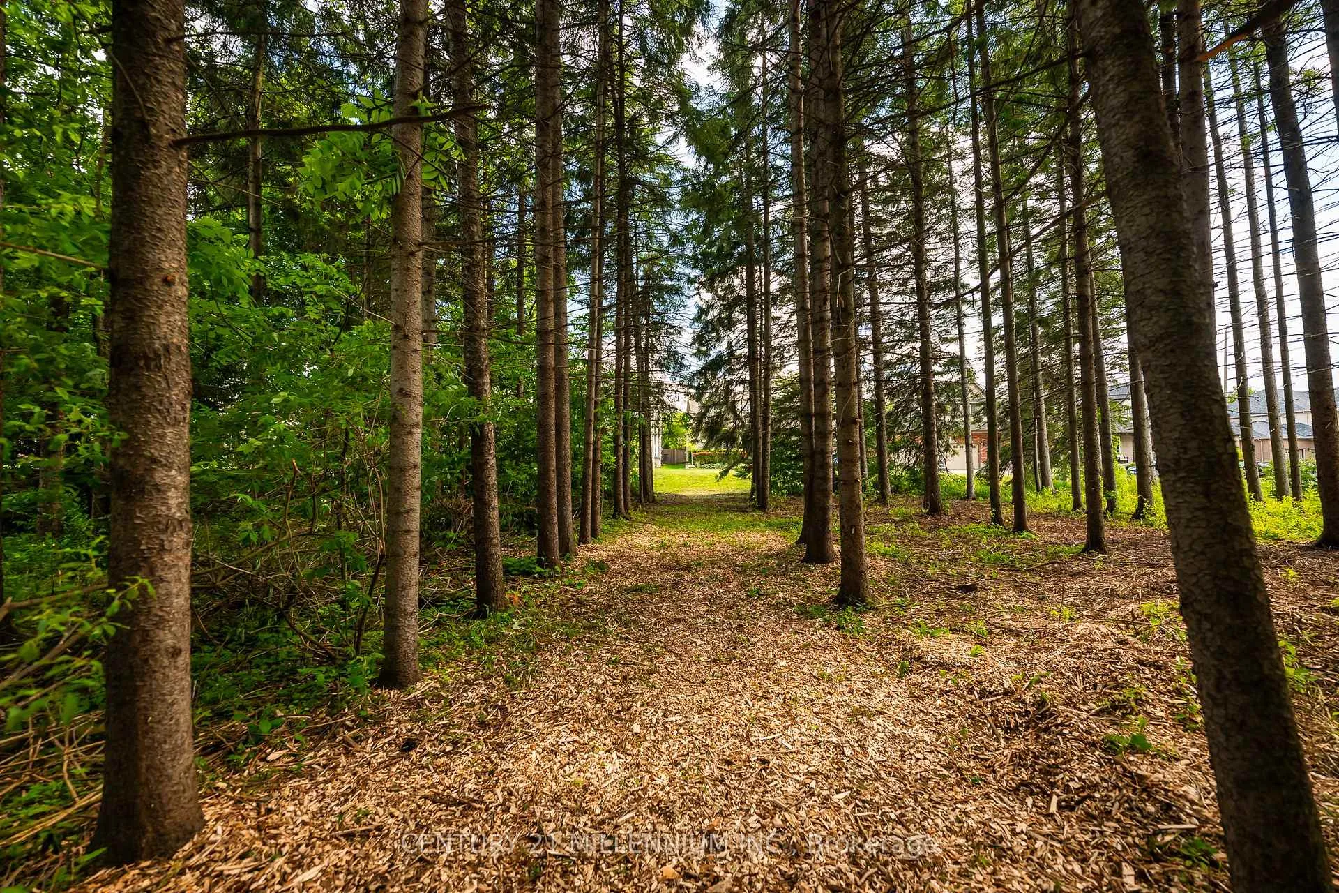 Photo 15 of 24 Buena Vista Drive, Mono, Rural Mono — HOMEH