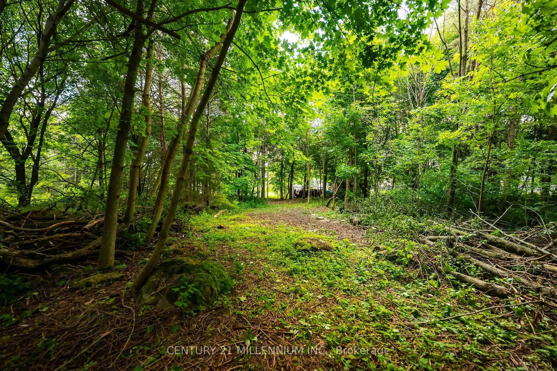 Photo 20 of 24 Buena Vista Drive, Mono, Rural Mono — HOMEH