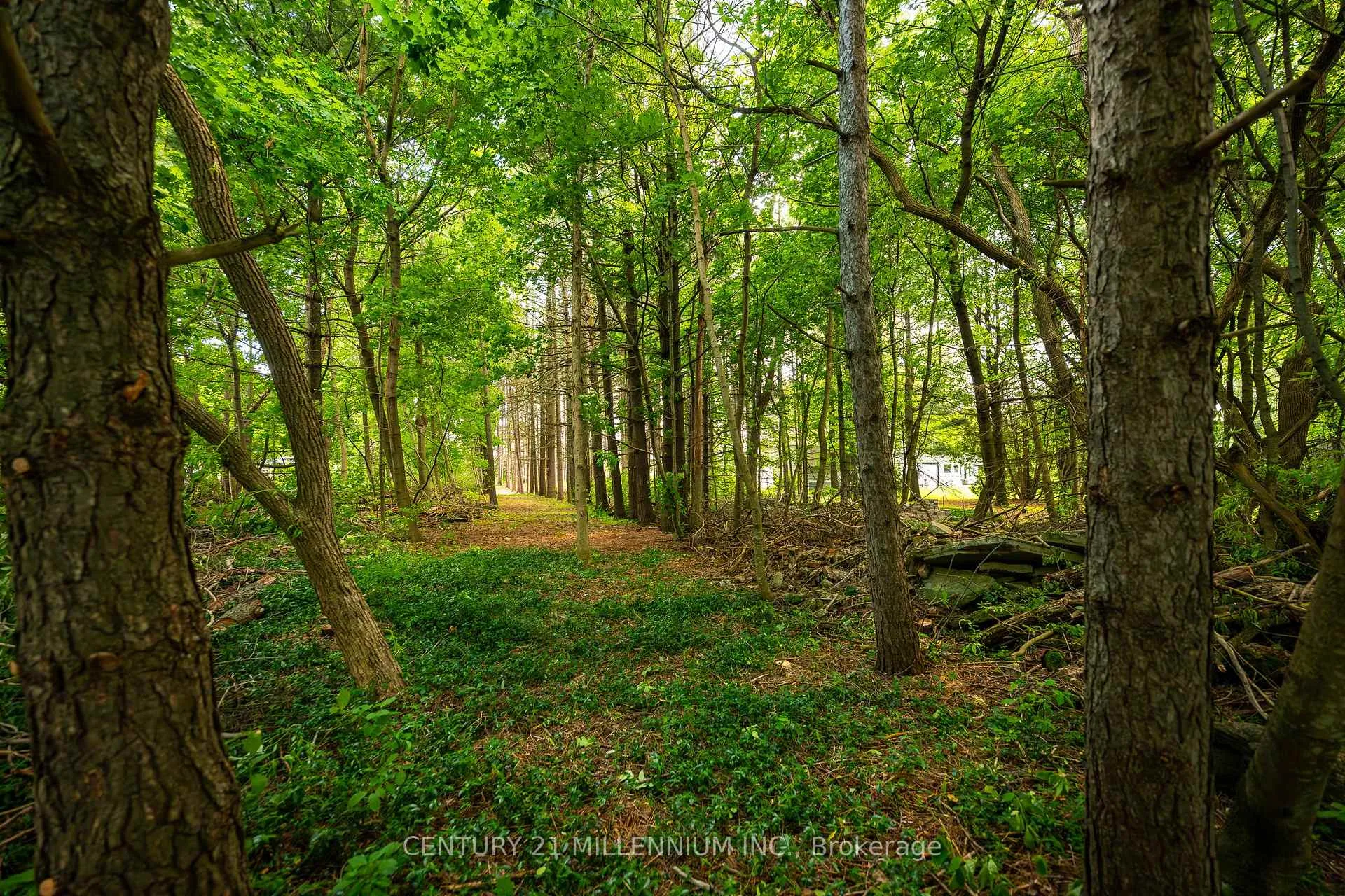 Photo 22 of 24 Buena Vista Drive, Mono, Rural Mono — HOMEH