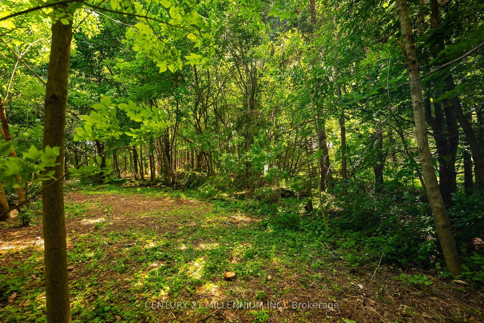 Photo 23 of 24 Buena Vista Drive, Mono, Rural Mono — HOMEH