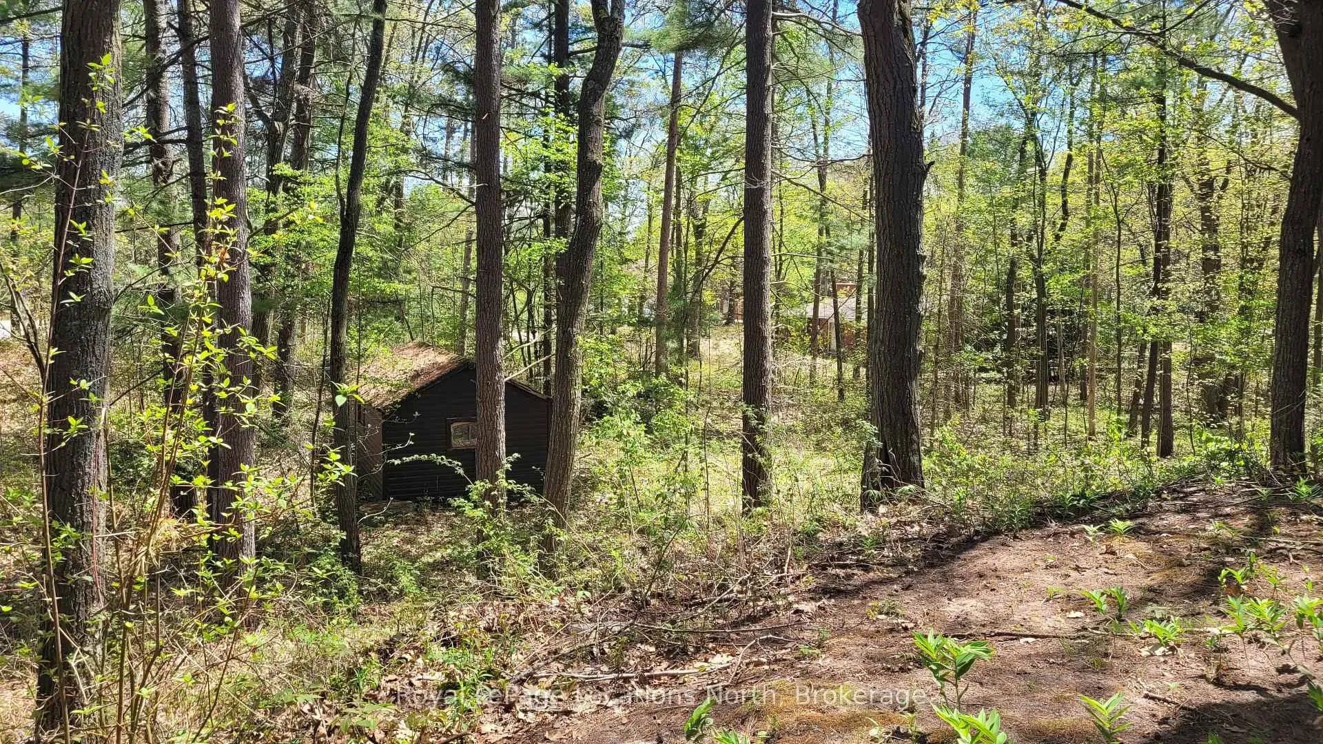 Photo 21 of 25 Balmoral Avenue, Tiny, Rural Tiny — HOMEH