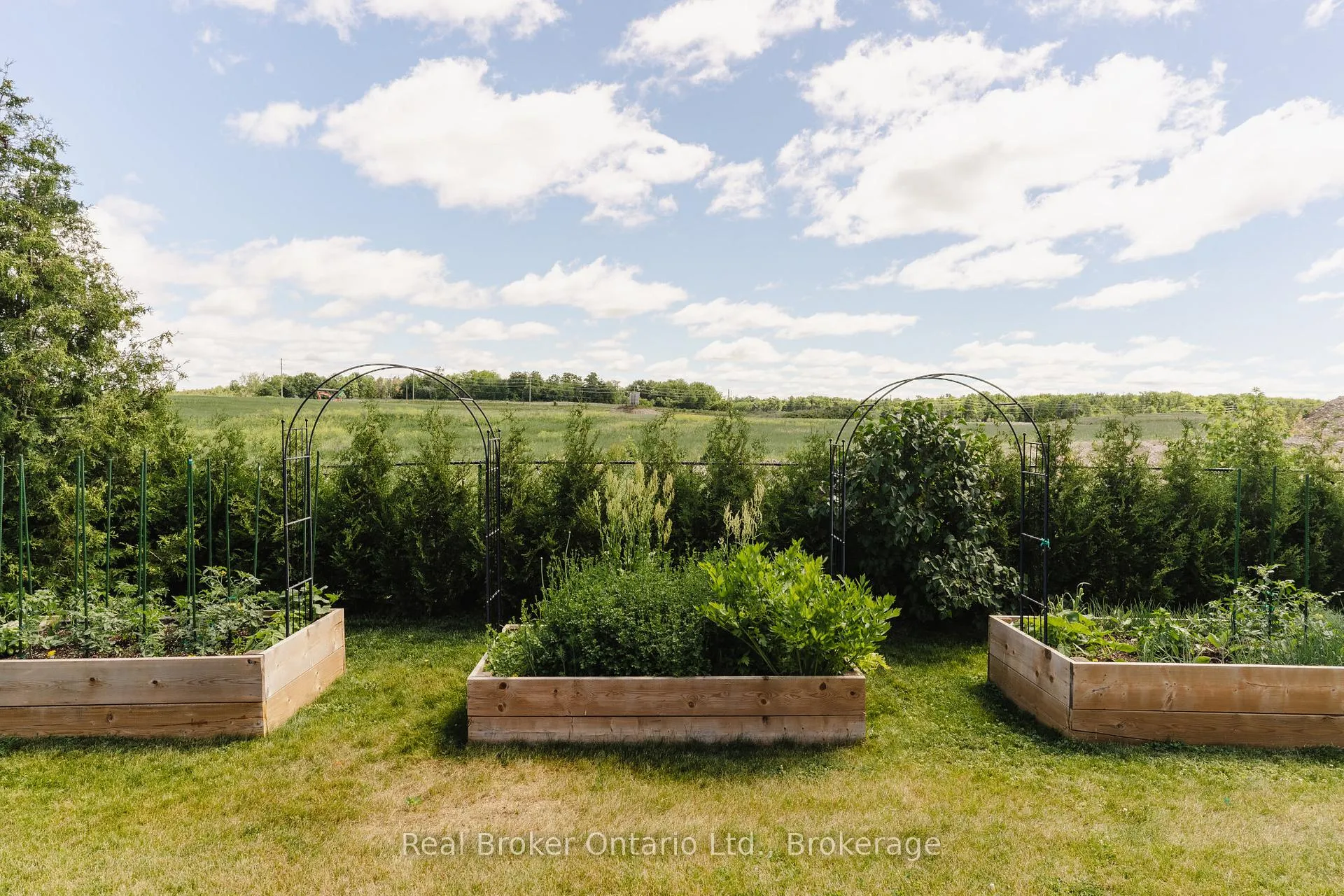 Photo 36 of 115 Kennedy Road, Woolwich, Breslau — HOMEH