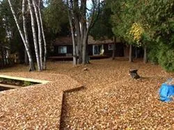 Photo 5 of 572 Birch Point Road, Kawartha Lakes, Fenelon — HOMEH