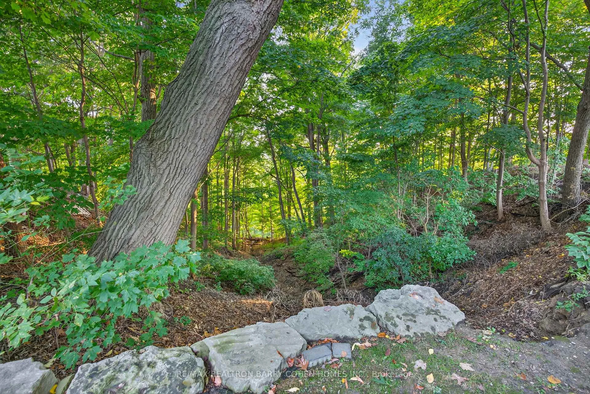 Photo 44 of 76 Arjay Crescent, North York, Bridle Path-Sunnybrook-York Mills — HOMEH