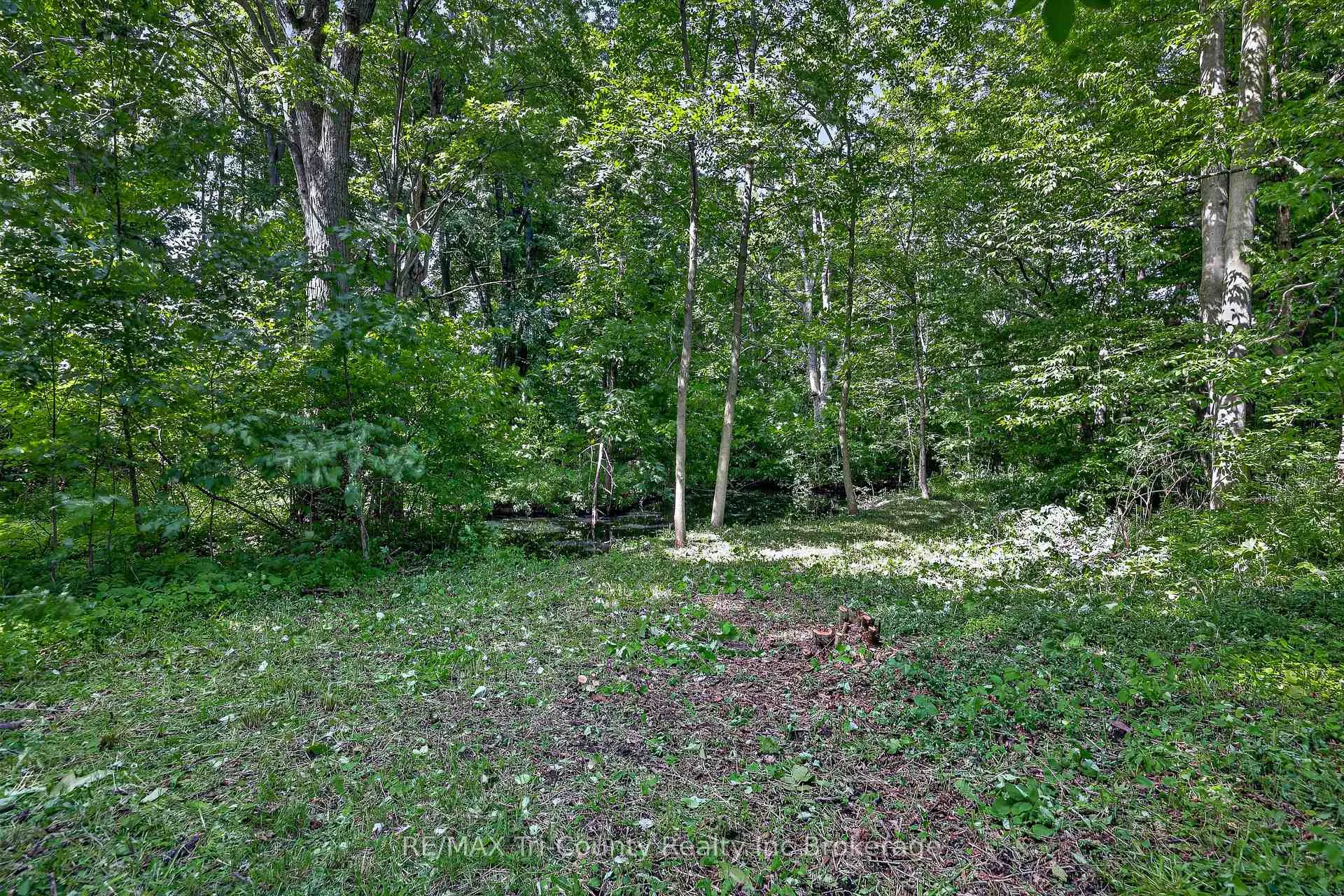 Photo 46 of 54427 Talbot Line, Bayham, Rural Bayham — HOMEH