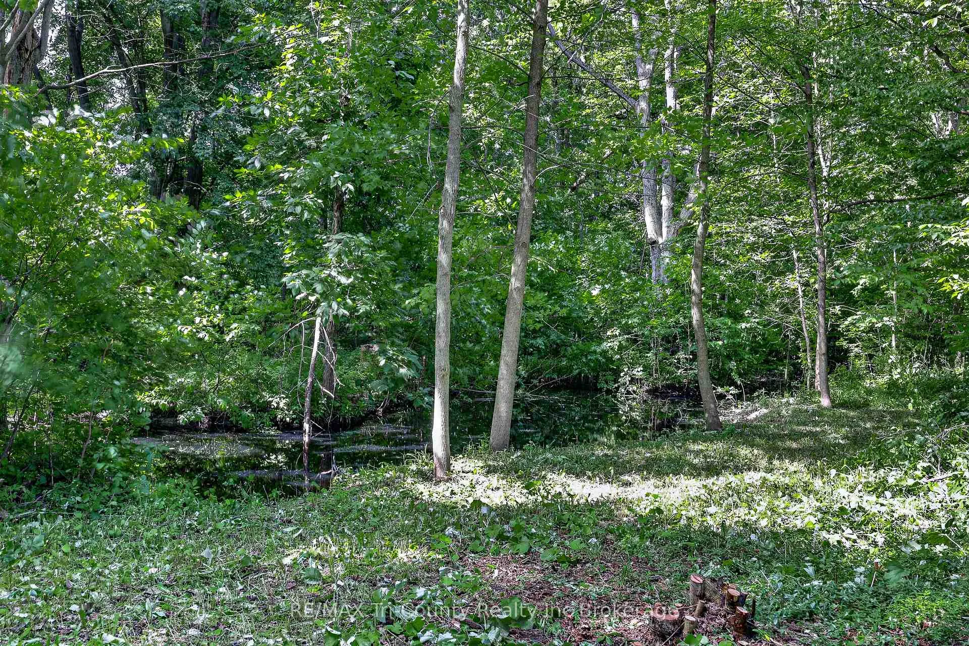 Photo 47 of 54427 Talbot Line, Bayham, Rural Bayham — HOMEH