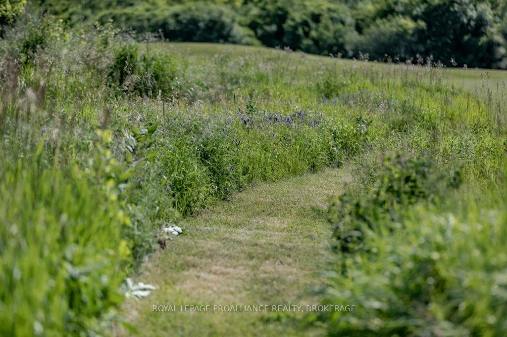 Photo 40 of 1558 Highway 96, Frontenac Islands, The Islands — HOMEH