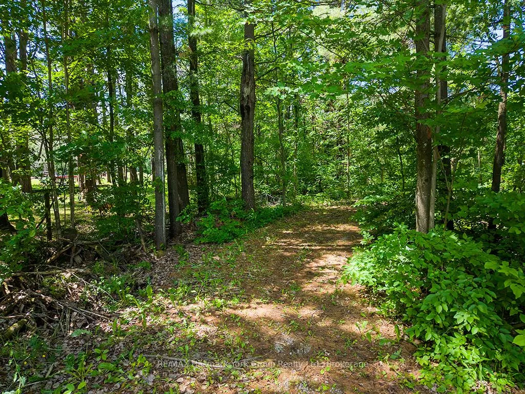Photo 21 of 1116 Taylor Line, Severn, Rural Severn — HOMEH