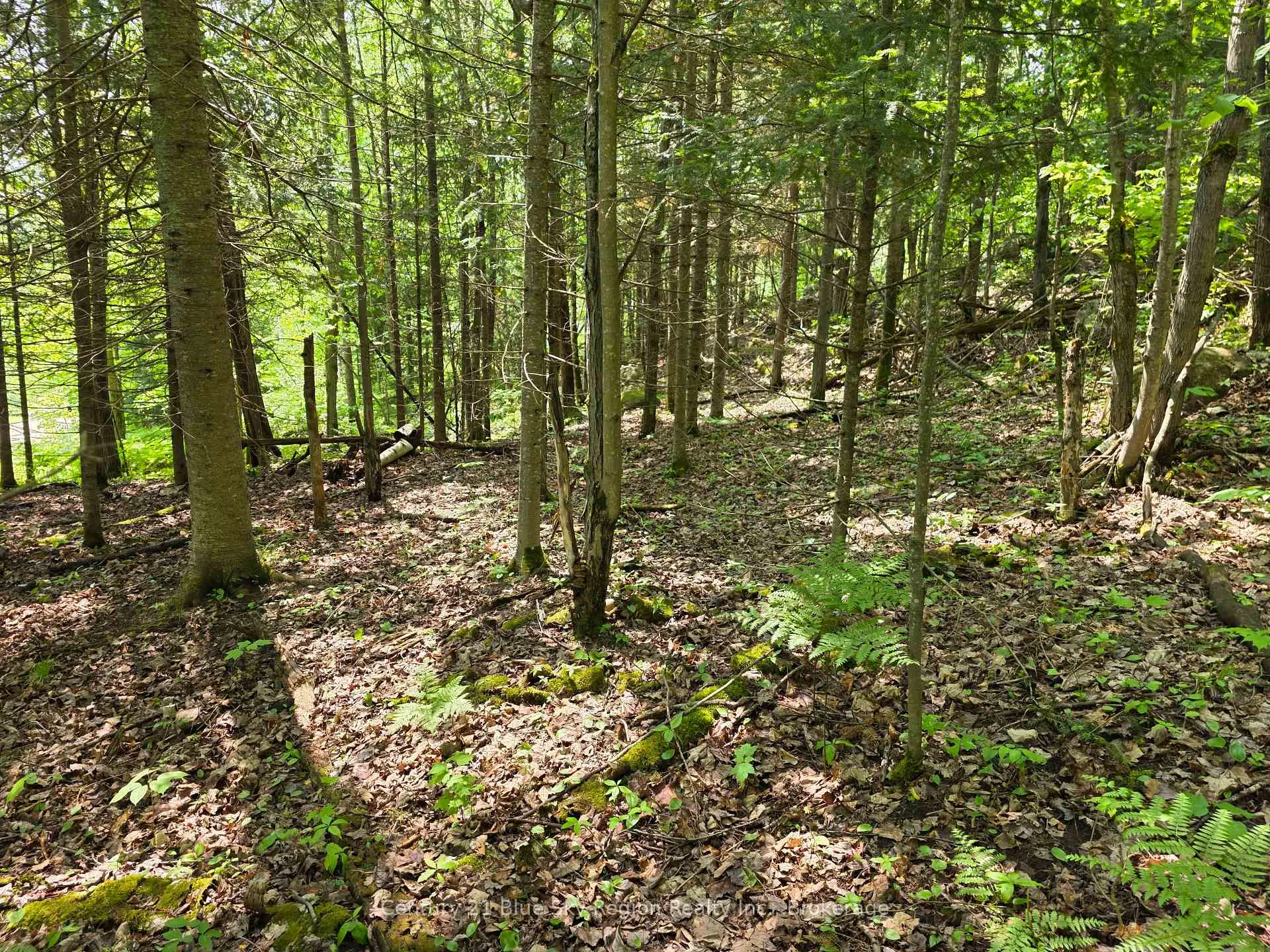 Photo 9 of 104 Greenwood Drive, Bonfield — HOMEH