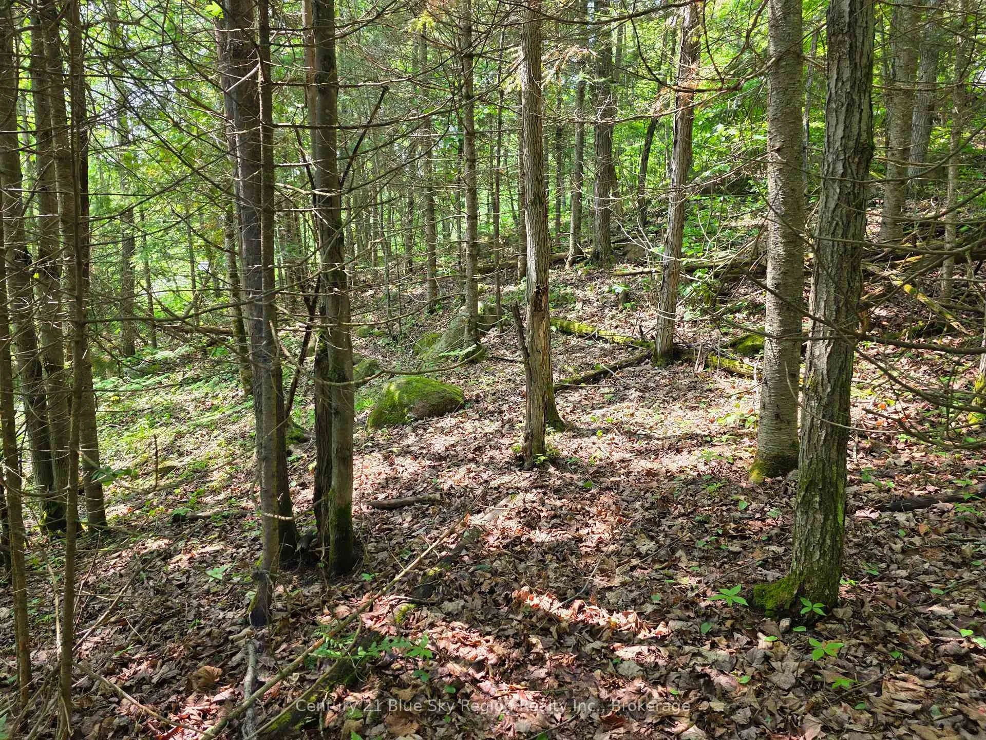 Photo 10 of 104 Greenwood Drive, Bonfield — HOMEH