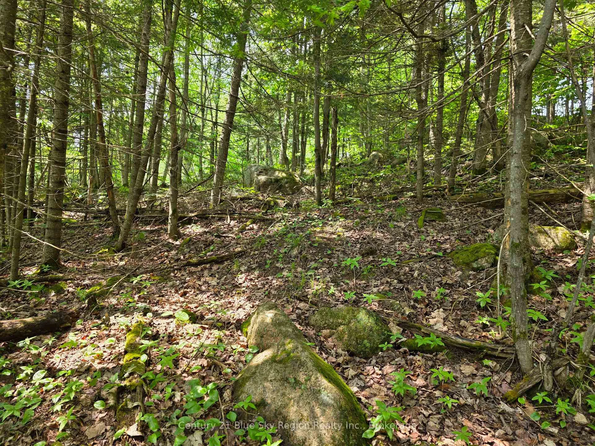 Photo 11 of 104 Greenwood Drive, Bonfield — HOMEH