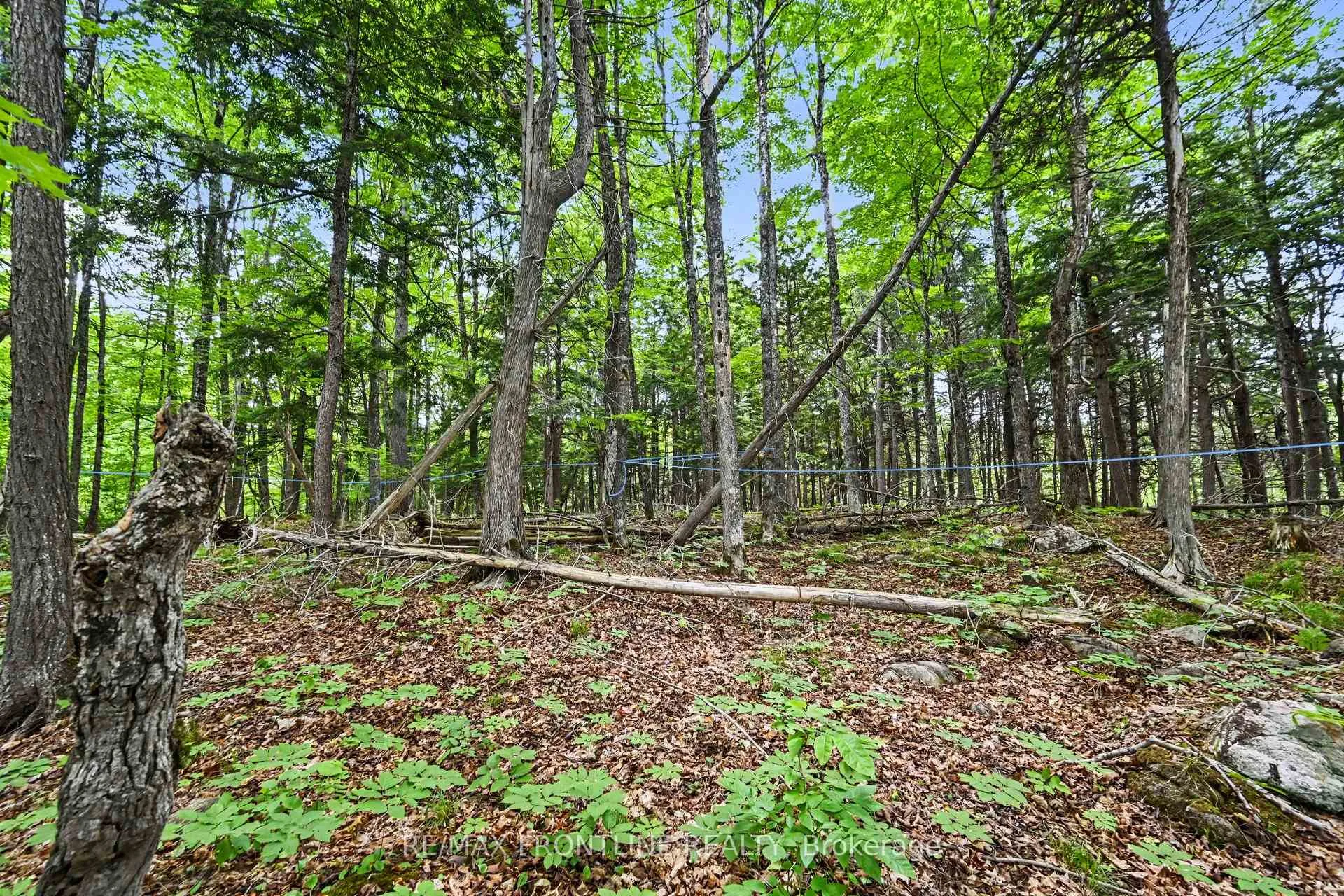 Photo 1 of 634 Concession 5A Dalhousie, Lanark Highlands, Lanark Highlands (Dalhousie) Twp — HOMEH