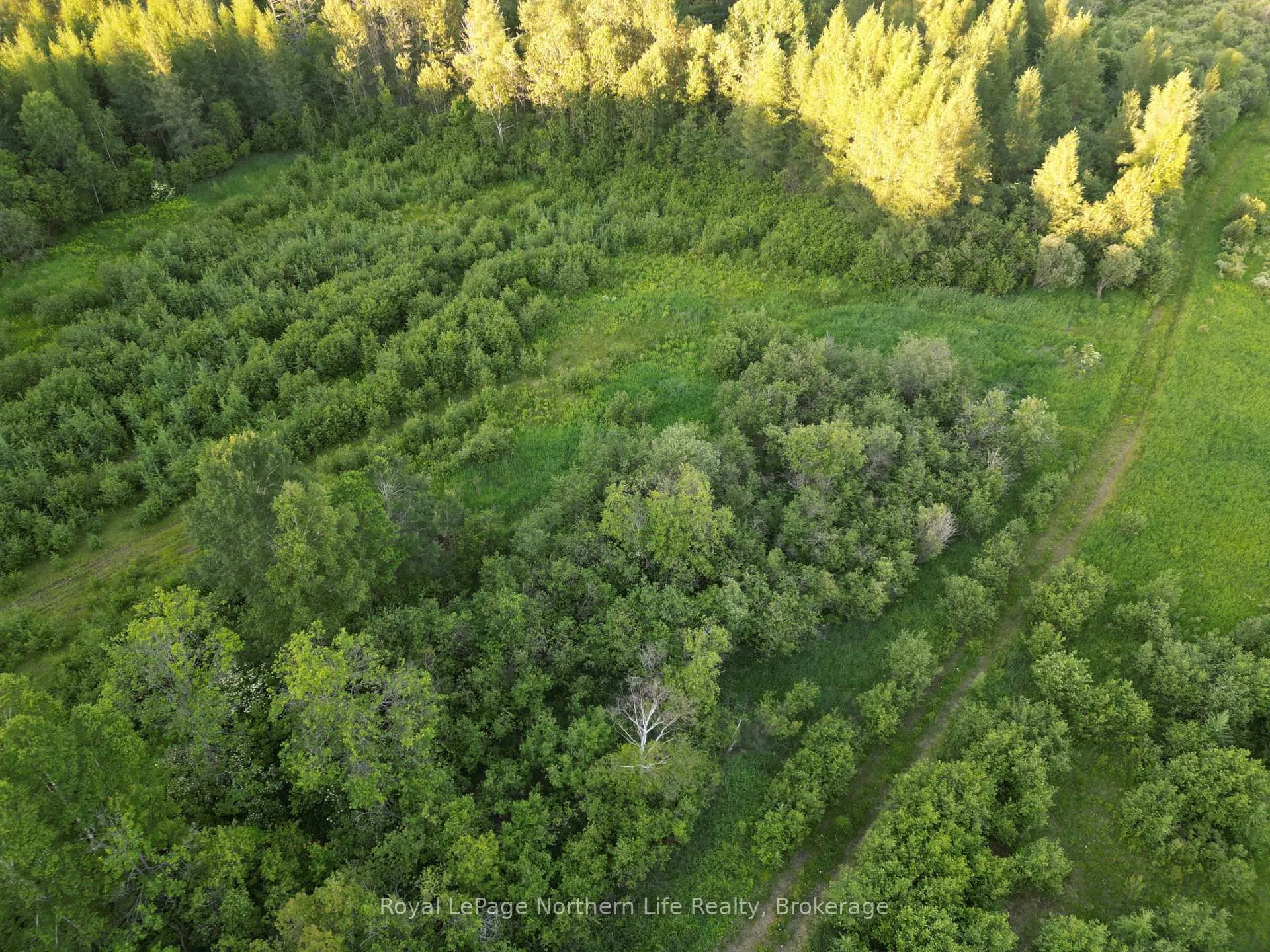 Photo 28 of 29 Highway 522, Powassan, Trout Creek — HOMEH