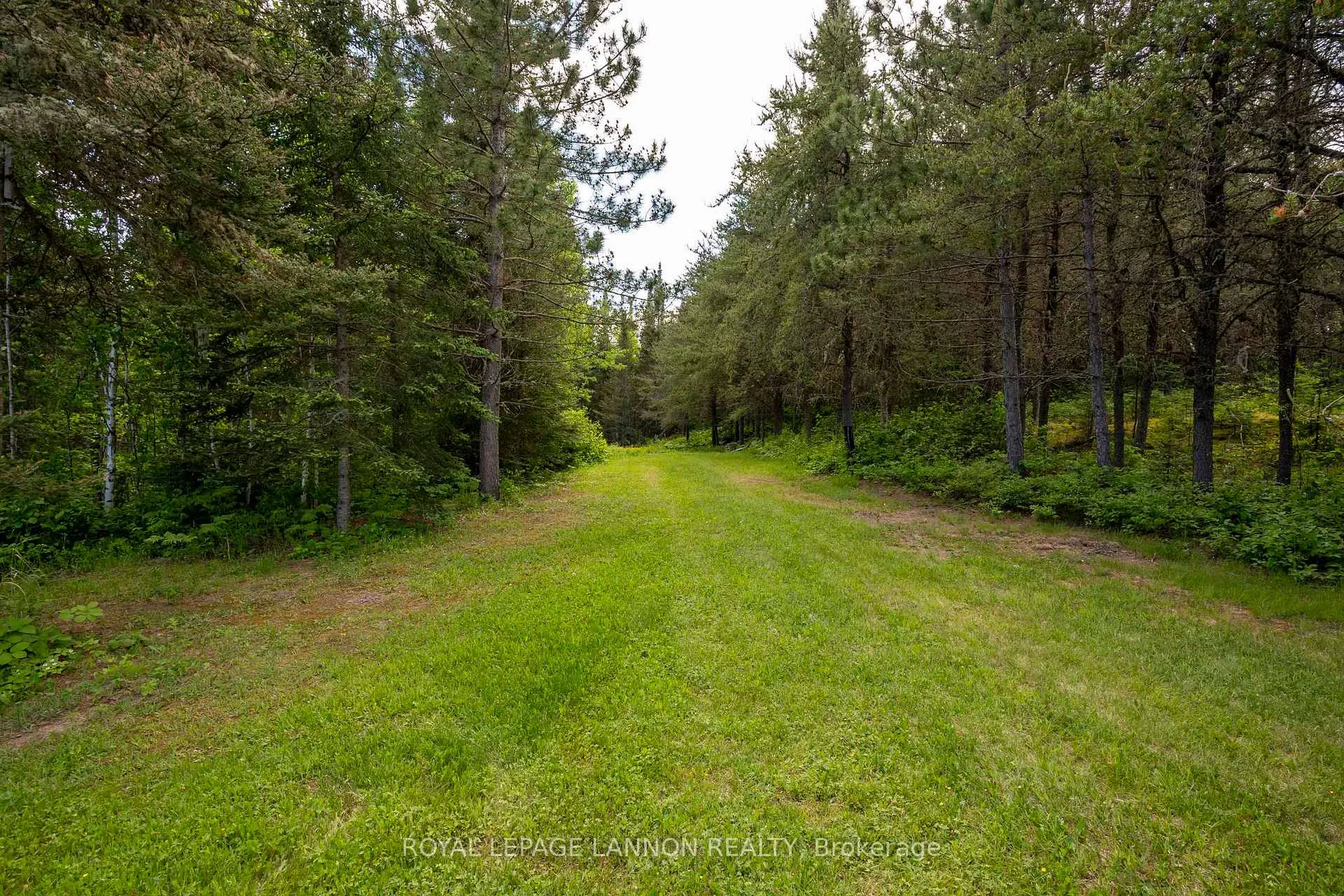 Photo 6 of 169 Centre Road, Thunder Bay Remote Area, Forbes — HOMEH