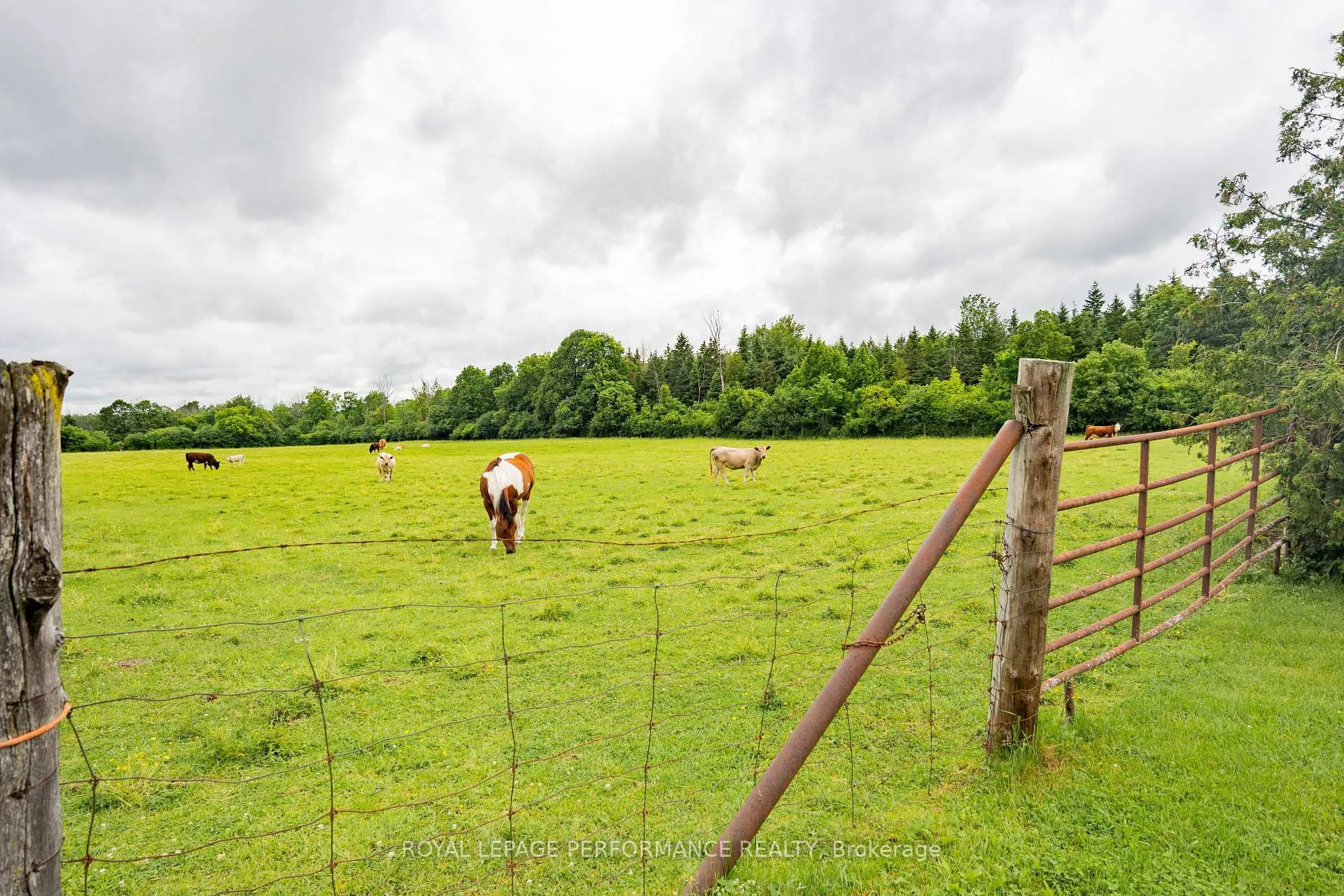 Photo 10 of 20195 Kenyon Conc Rd 1, North Glengarry, North Glengarry (Kenyon) Twp — HOMEH