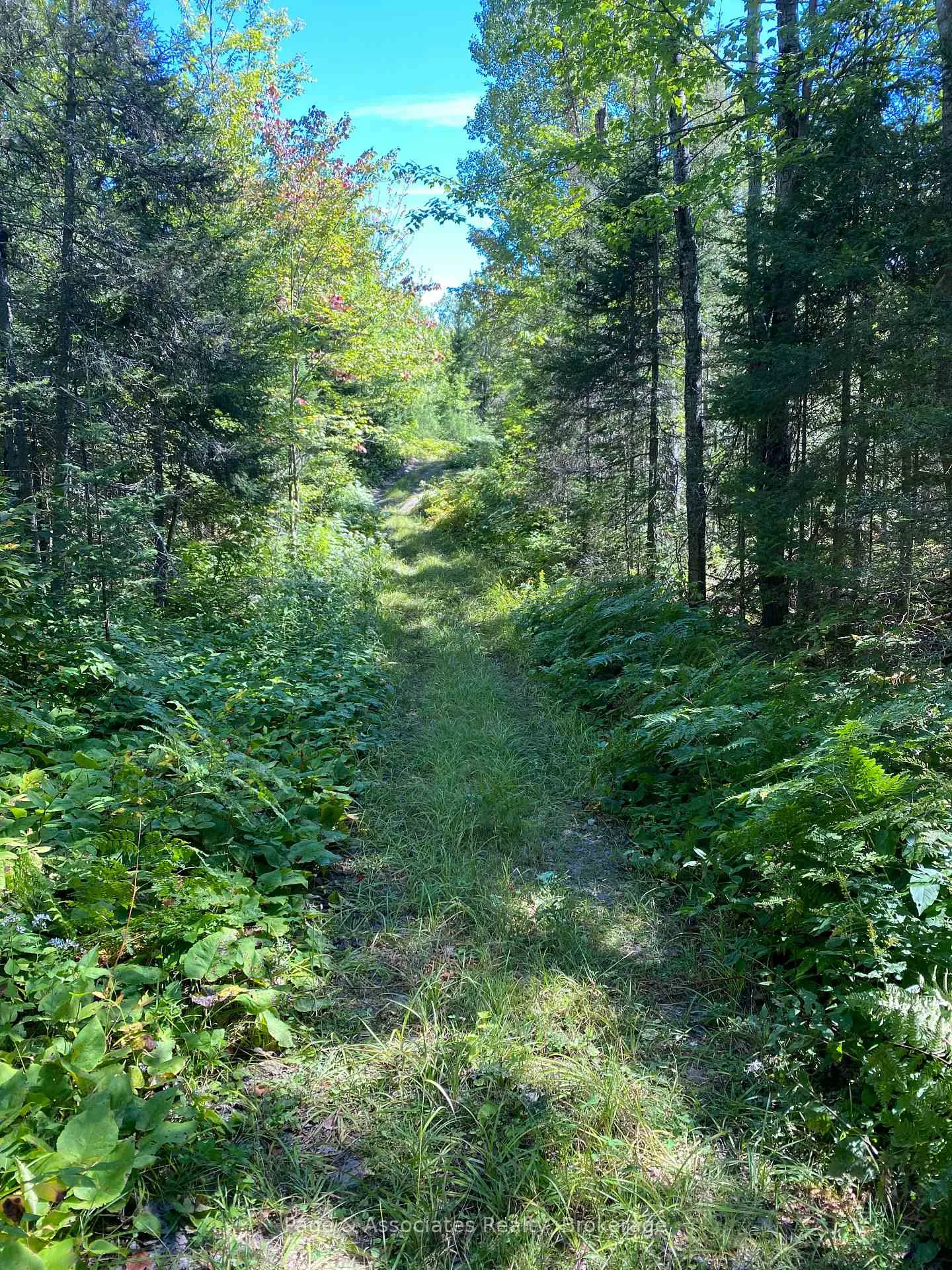Photo 15 of 13601 Highway 64, West Nipissing, Field — HOMEH