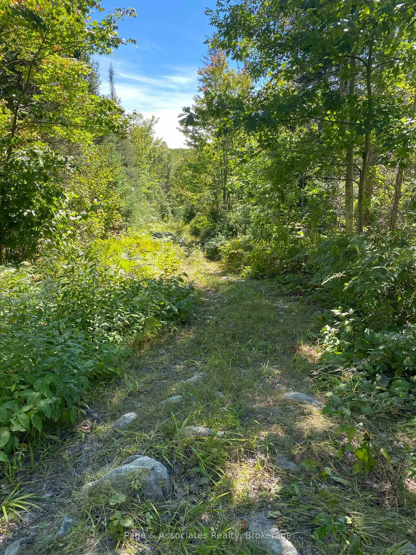 Photo 16 of 13601 Highway 64, West Nipissing, Field — HOMEH