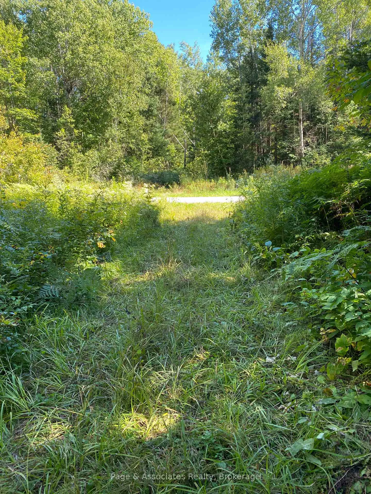 Photo 26 of 13601 Highway 64, West Nipissing, Field — HOMEH