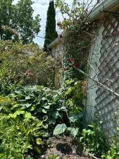 Photo 29 of 68 Scott Street, Kingston, Central City East — HOMEH