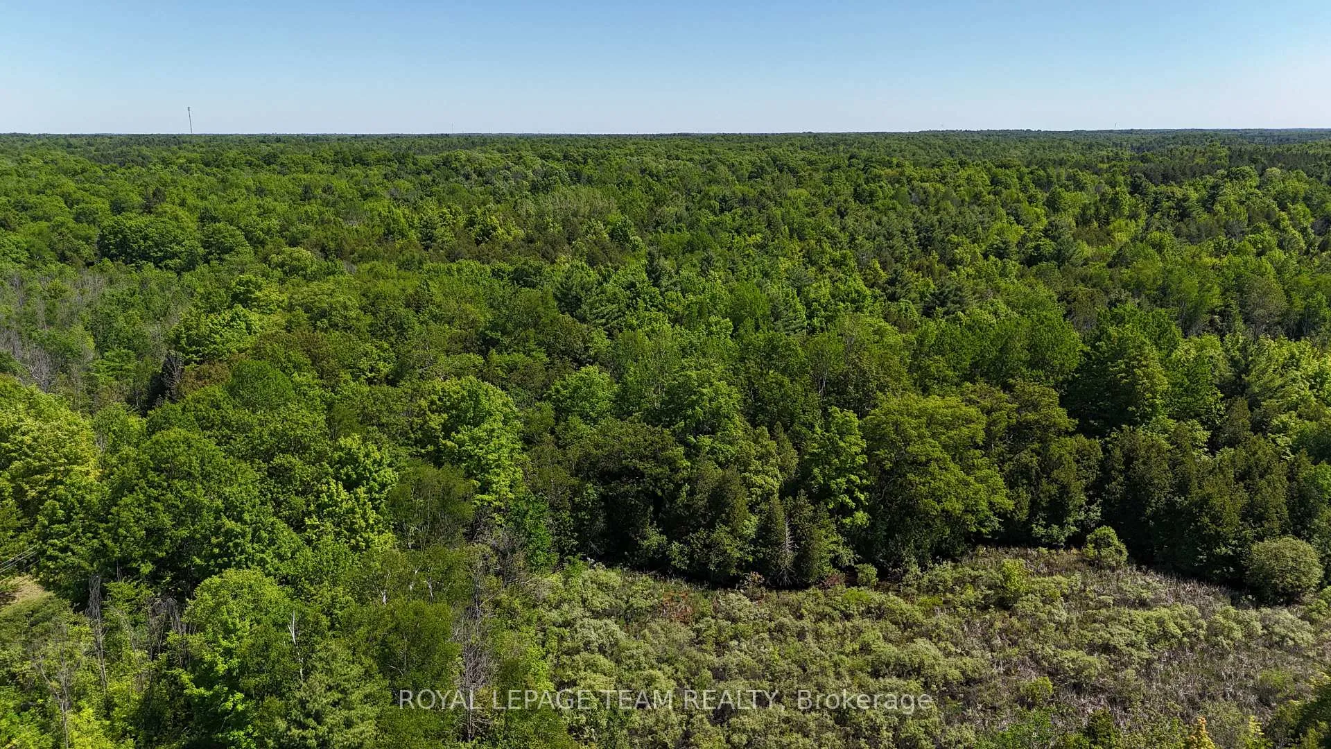 Photo 6 of 000 Dragonfly Lane, Rideau Lakes, Rideau Lakes (South Burgess) Twp — HOMEH