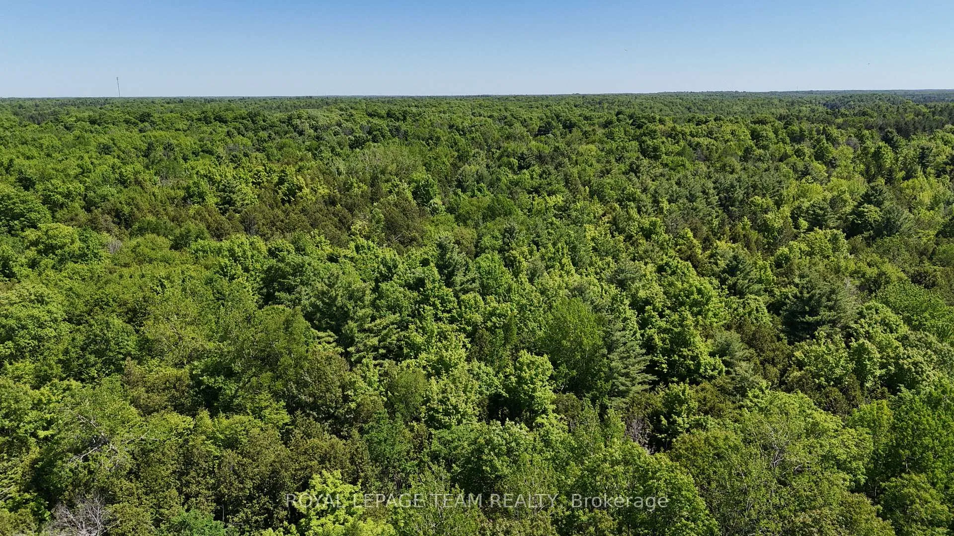 Photo 7 of 000 Dragonfly Lane, Rideau Lakes, Rideau Lakes (South Burgess) Twp — HOMEH