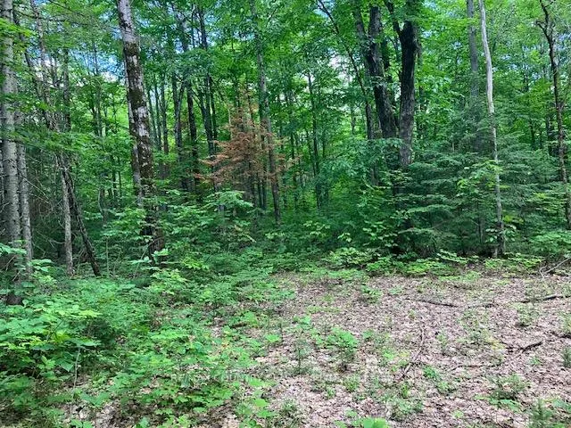 Photo 6 of 6732 County Road 620, Wollaston — HOMEH