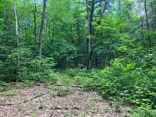 Photo 7 of 6732 County Road 620, Wollaston — HOMEH