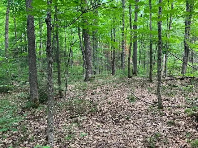 Photo 8 of 6732 County Road 620, Wollaston — HOMEH