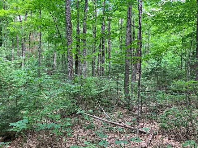Photo 9 of 6732 County Road 620, Wollaston — HOMEH