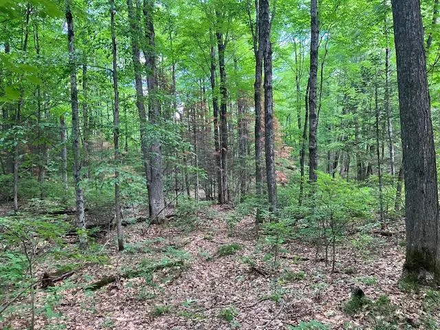 Photo 10 of 6732 County Road 620, Wollaston — HOMEH