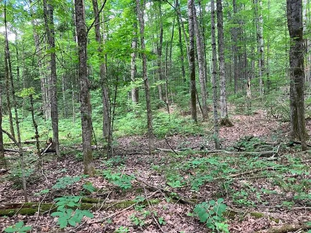 Photo 11 of 6732 County Road 620, Wollaston — HOMEH