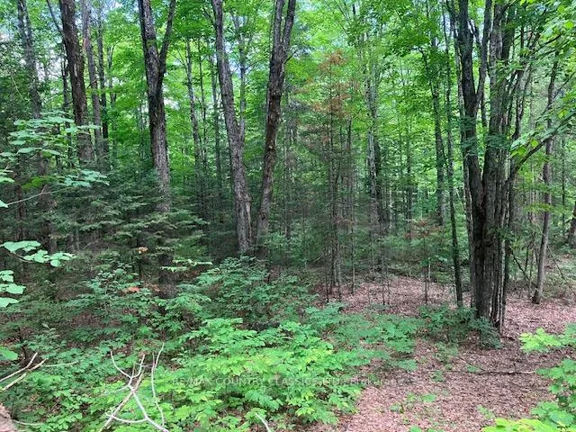 Photo 13 of 6732 County Road 620, Wollaston — HOMEH
