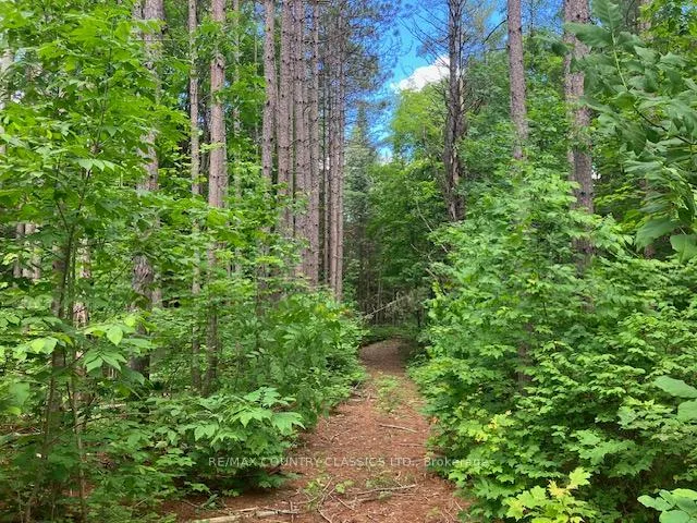 Photo 14 of 6732 County Road 620, Wollaston — HOMEH