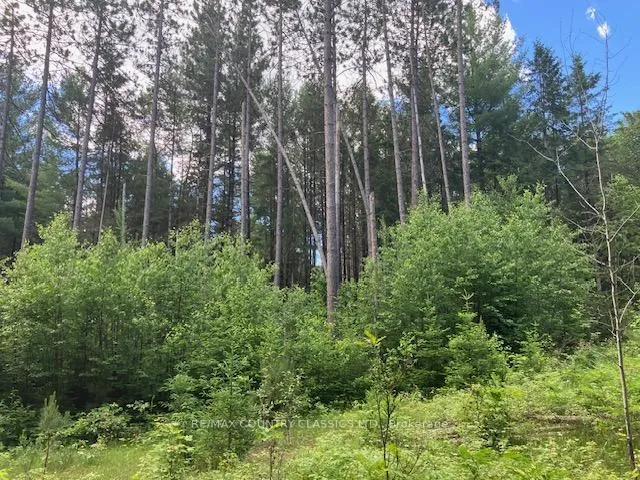 Photo 15 of 6732 County Road 620, Wollaston — HOMEH