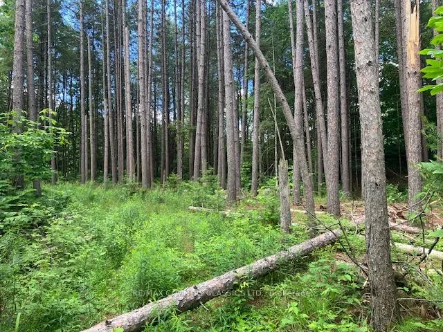 Photo 17 of 6732 County Road 620, Wollaston — HOMEH