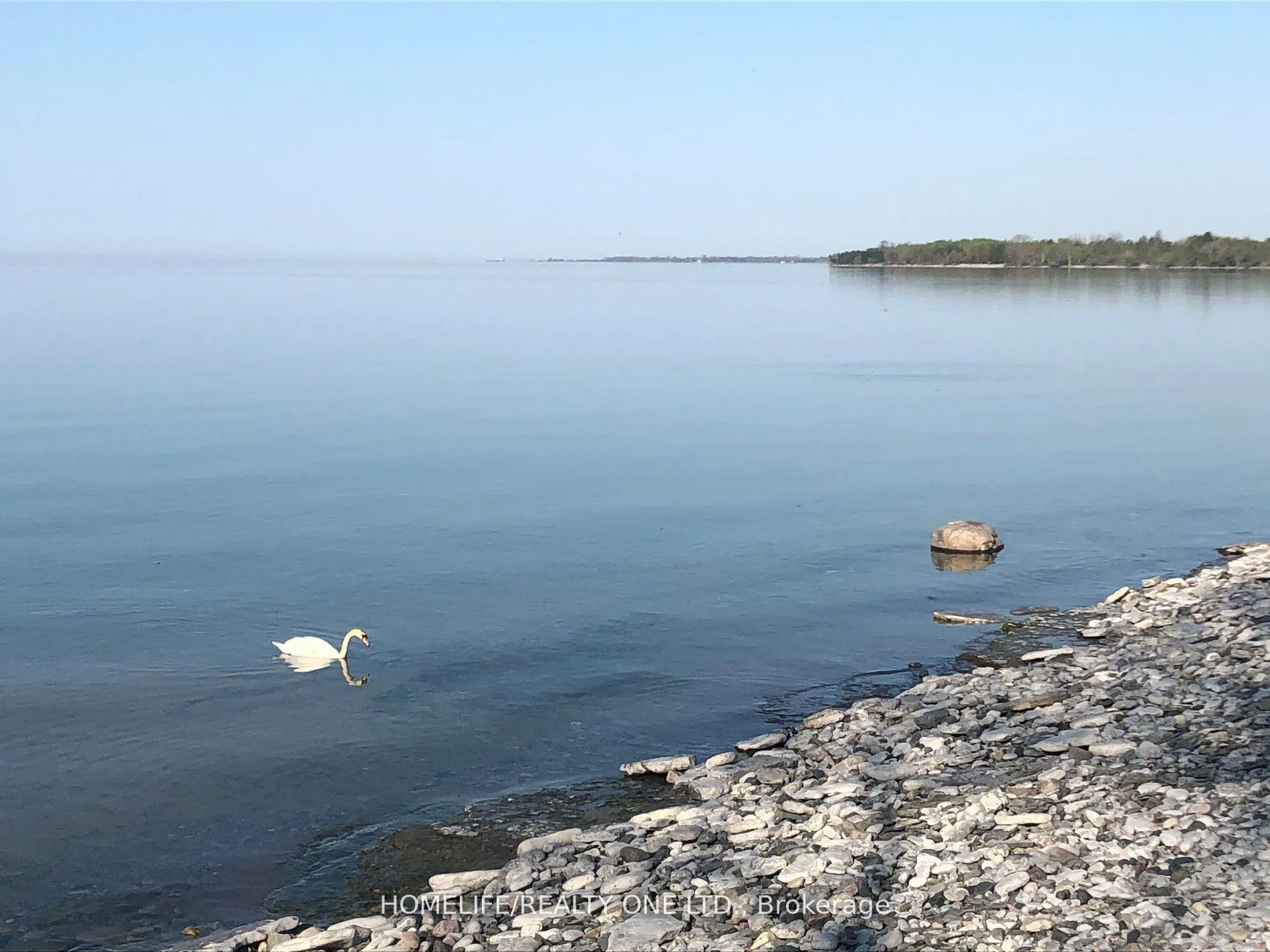 Photo 34 of 329 Lakeshore Road, Brighton — HOMEH