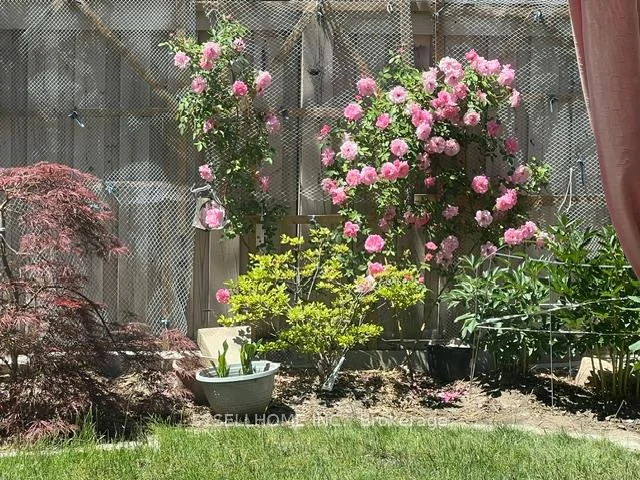 Photo 1 of 16 Lady Loretta Lane, Vaughan, Patterson — HOMEH