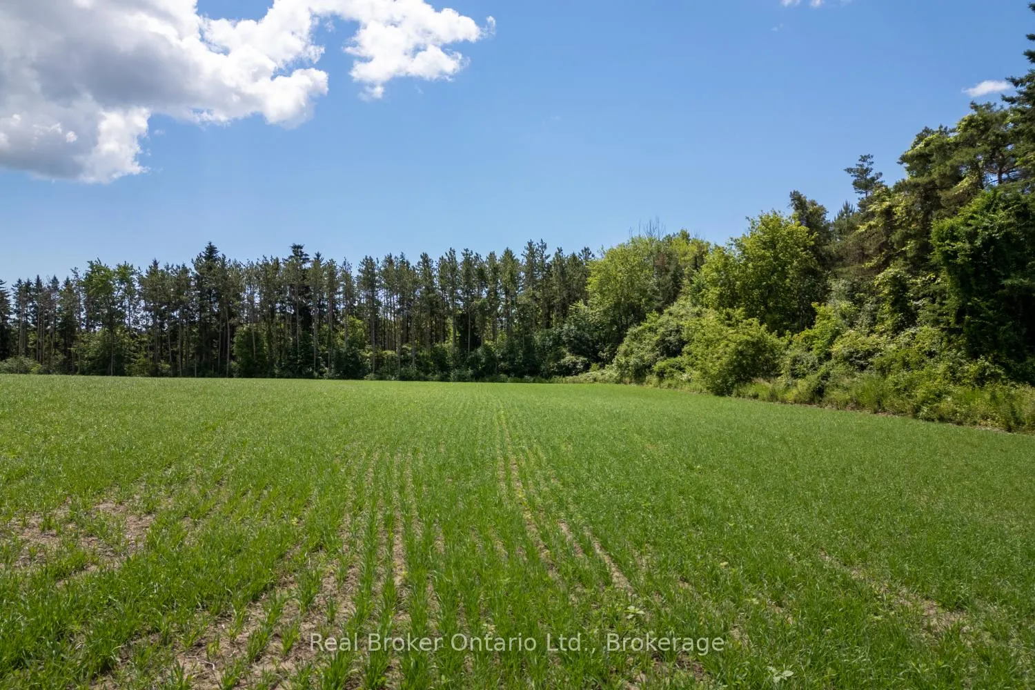 Photo 2 of 4206 Middle Road, Clarington, Rural Clarington — HOMEH