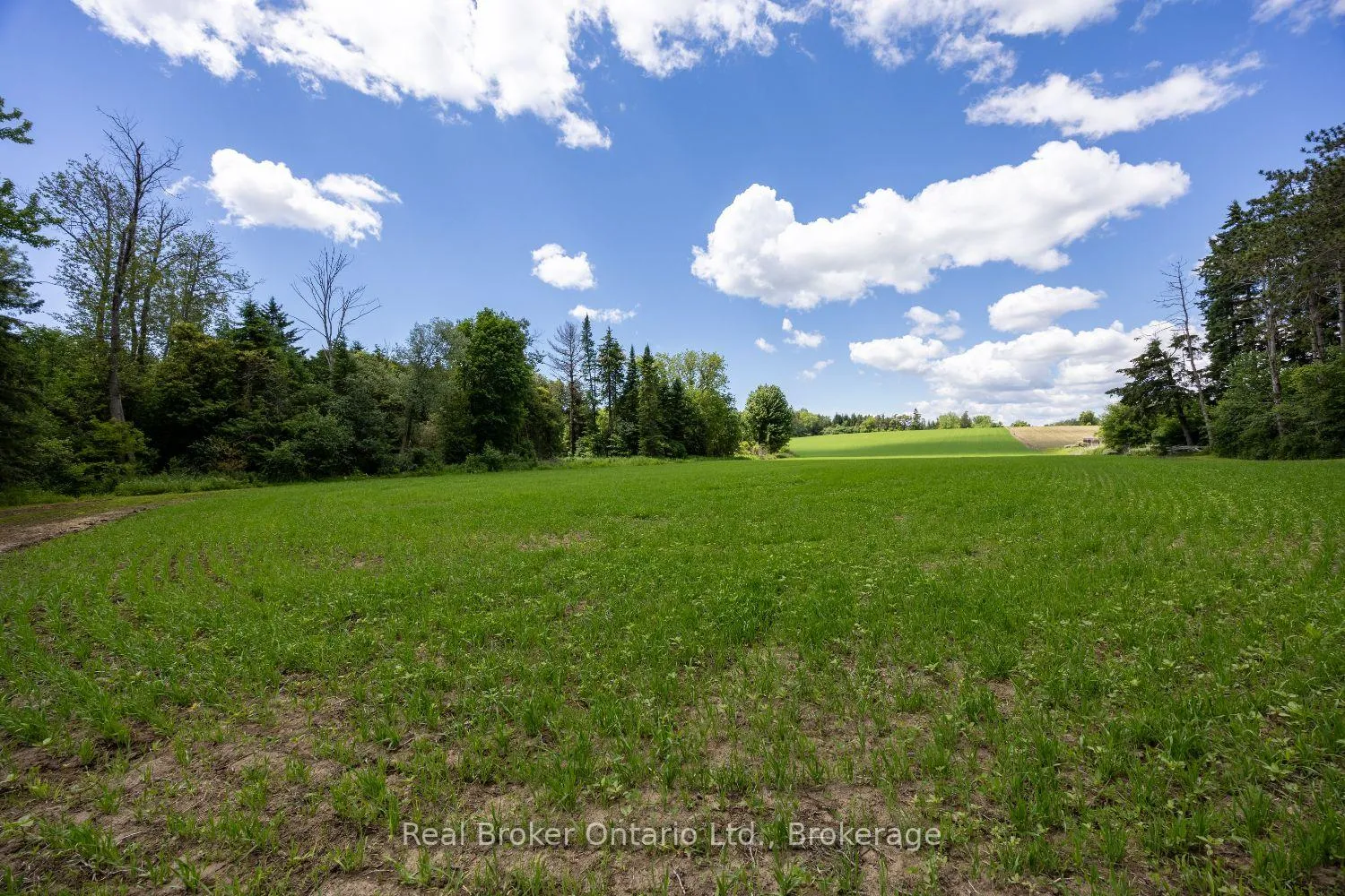 Photo 7 of 4206 Middle Road, Clarington, Rural Clarington — HOMEH
