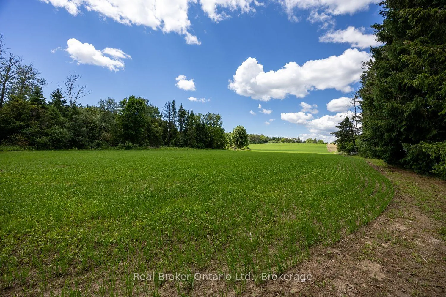 Photo 8 of 4206 Middle Road, Clarington, Rural Clarington — HOMEH