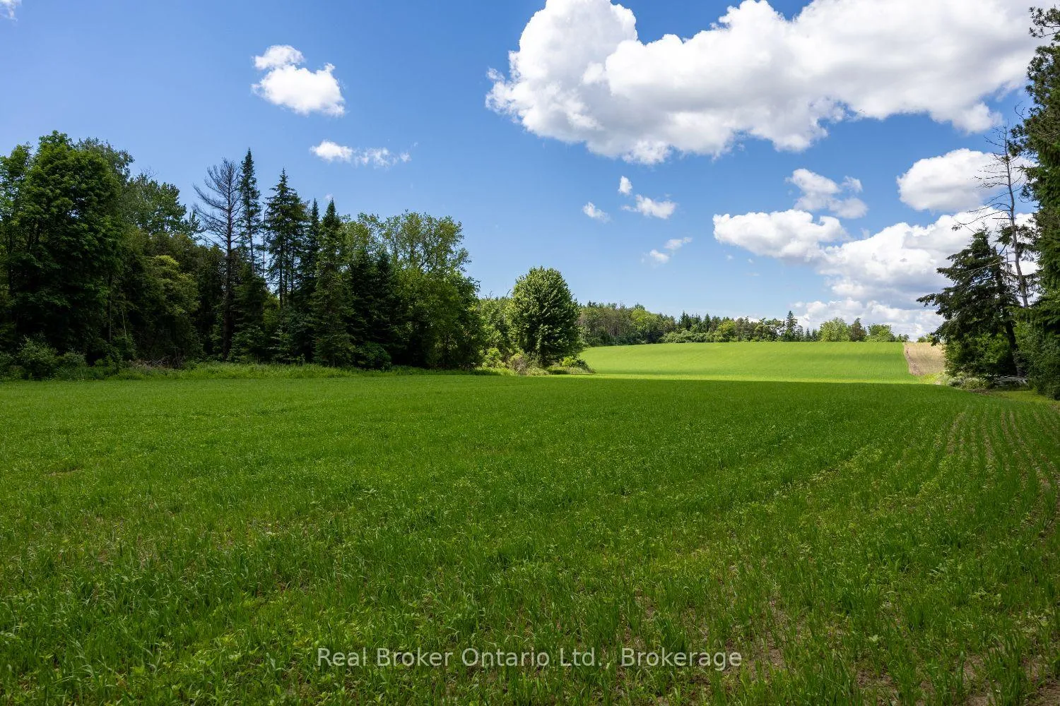 Photo 9 of 4206 Middle Road, Clarington, Rural Clarington — HOMEH