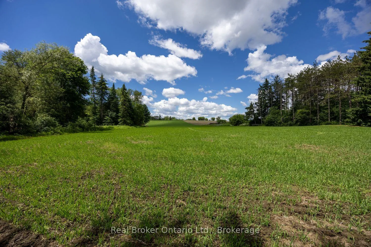 Photo 10 of 4206 Middle Road, Clarington, Rural Clarington — HOMEH