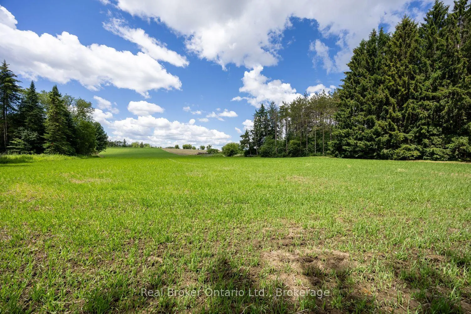 Photo 11 of 4206 Middle Road, Clarington, Rural Clarington — HOMEH