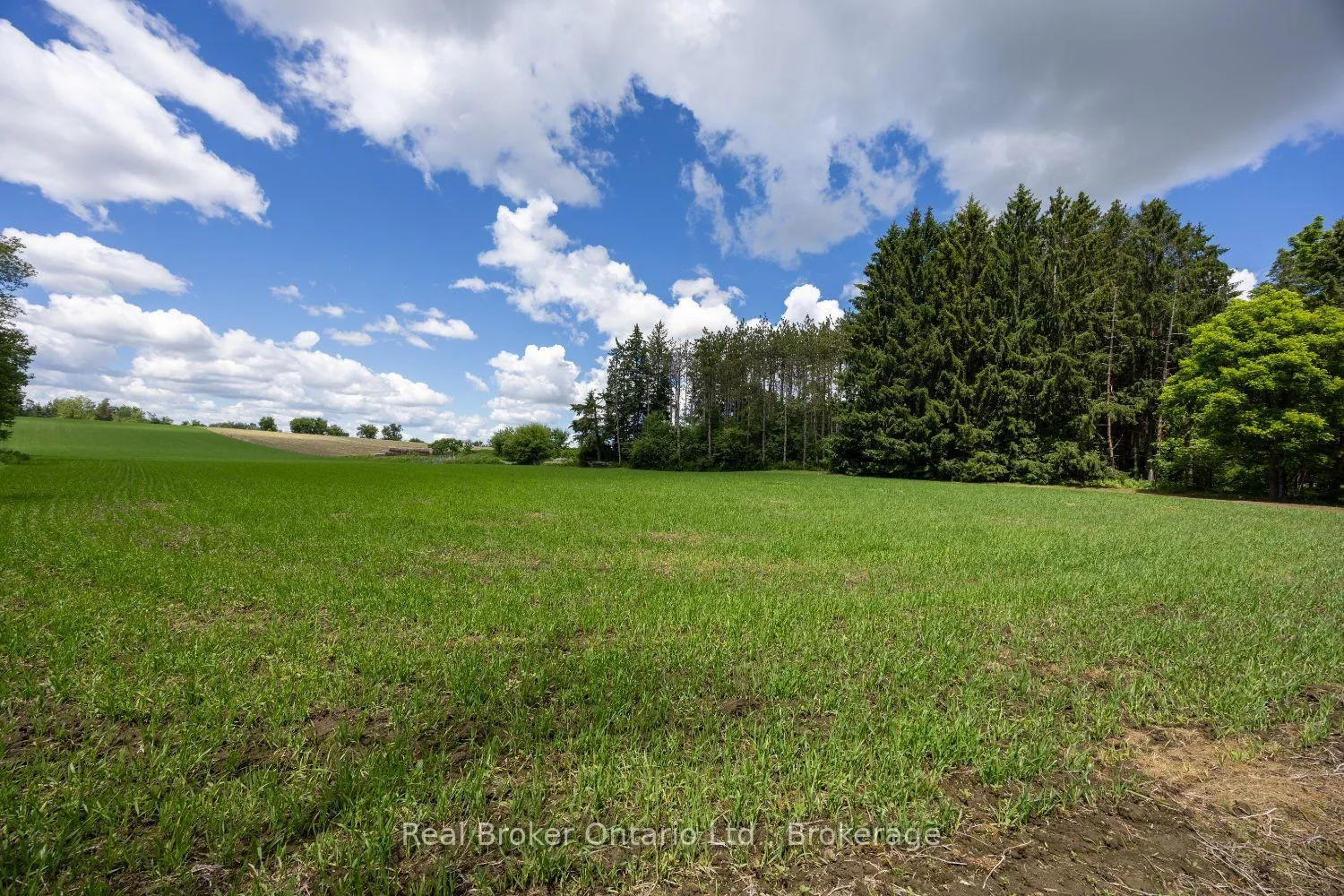 Photo 12 of 4206 Middle Road, Clarington, Rural Clarington — HOMEH