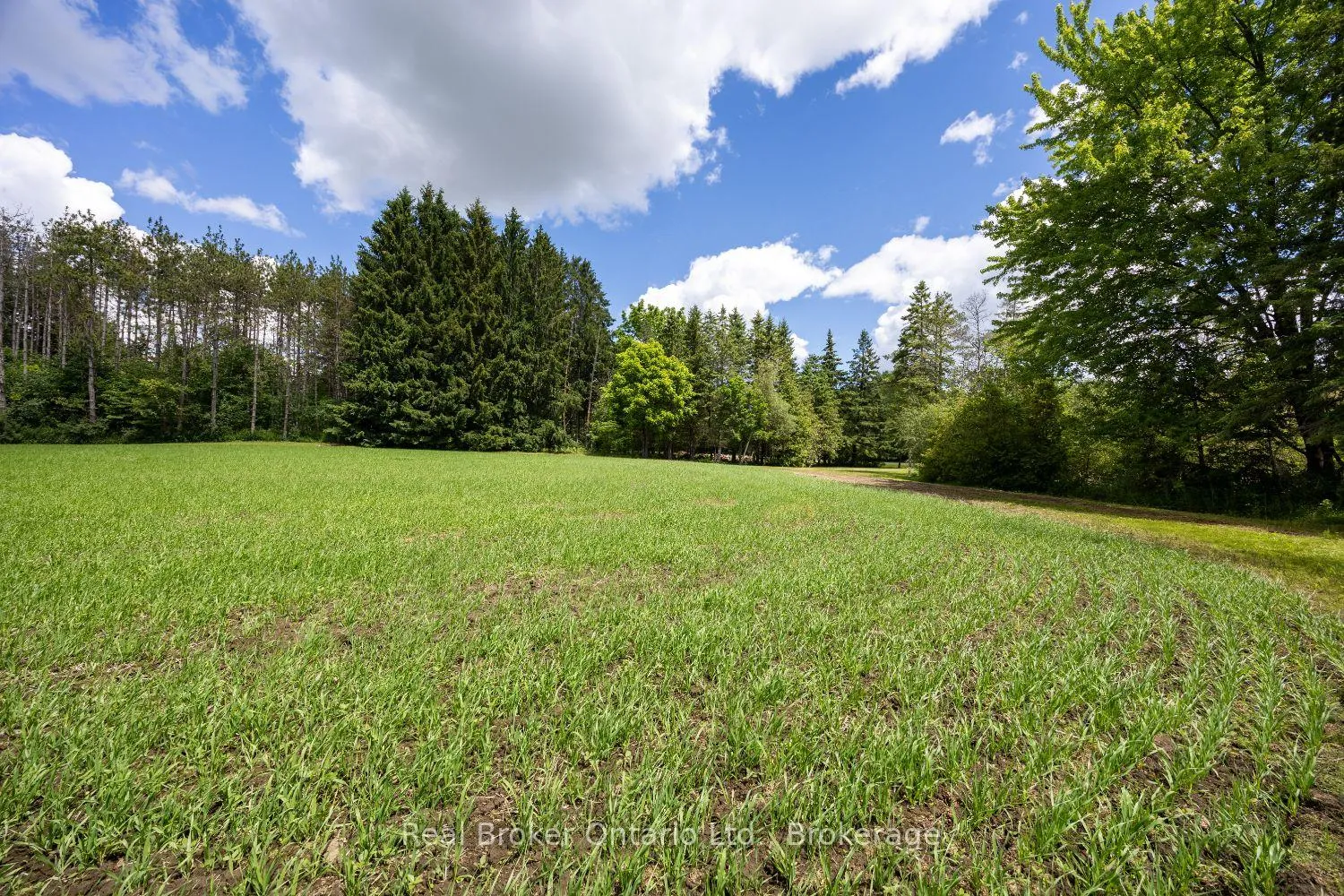 Photo 13 of 4206 Middle Road, Clarington, Rural Clarington — HOMEH