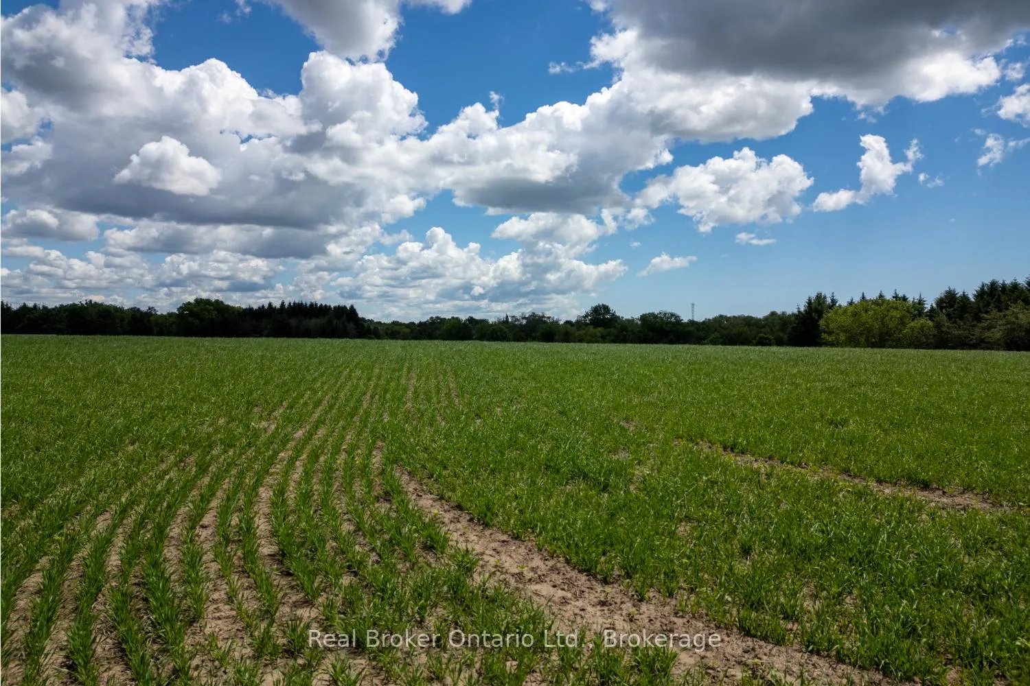 Photo 16 of 4206 Middle Road, Clarington, Rural Clarington — HOMEH