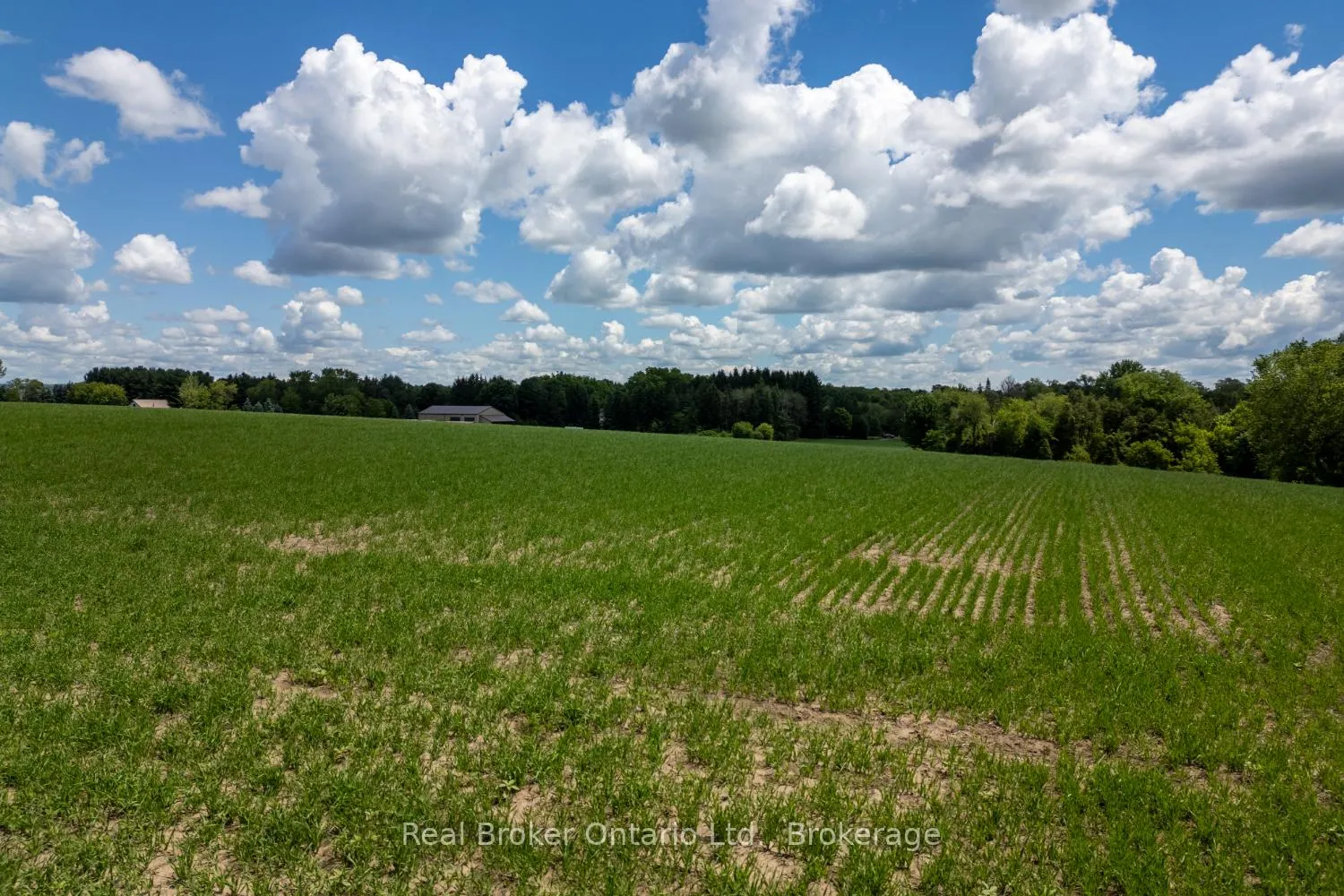 Photo 17 of 4206 Middle Road, Clarington, Rural Clarington — HOMEH