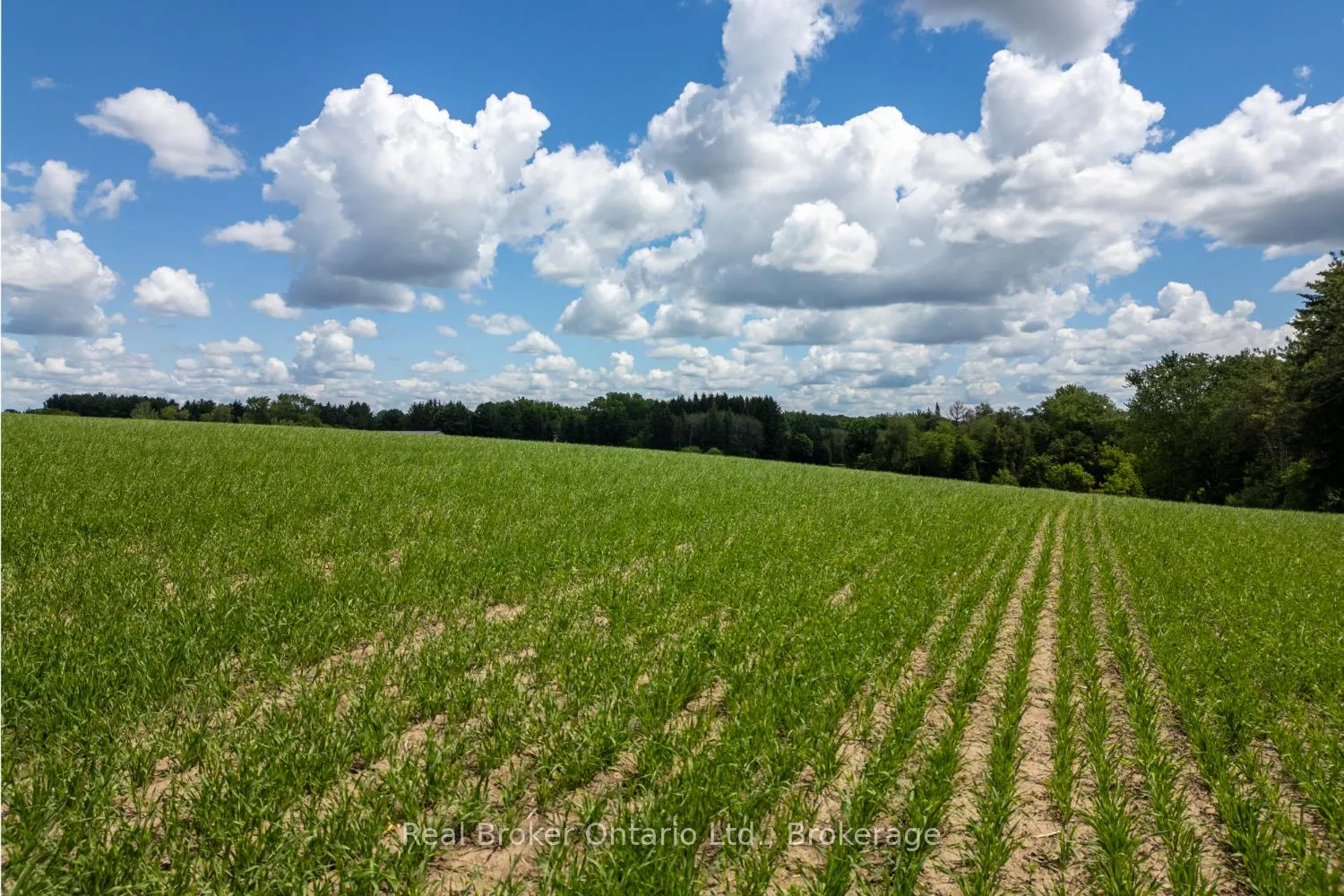 Photo 18 of 4206 Middle Road, Clarington, Rural Clarington — HOMEH