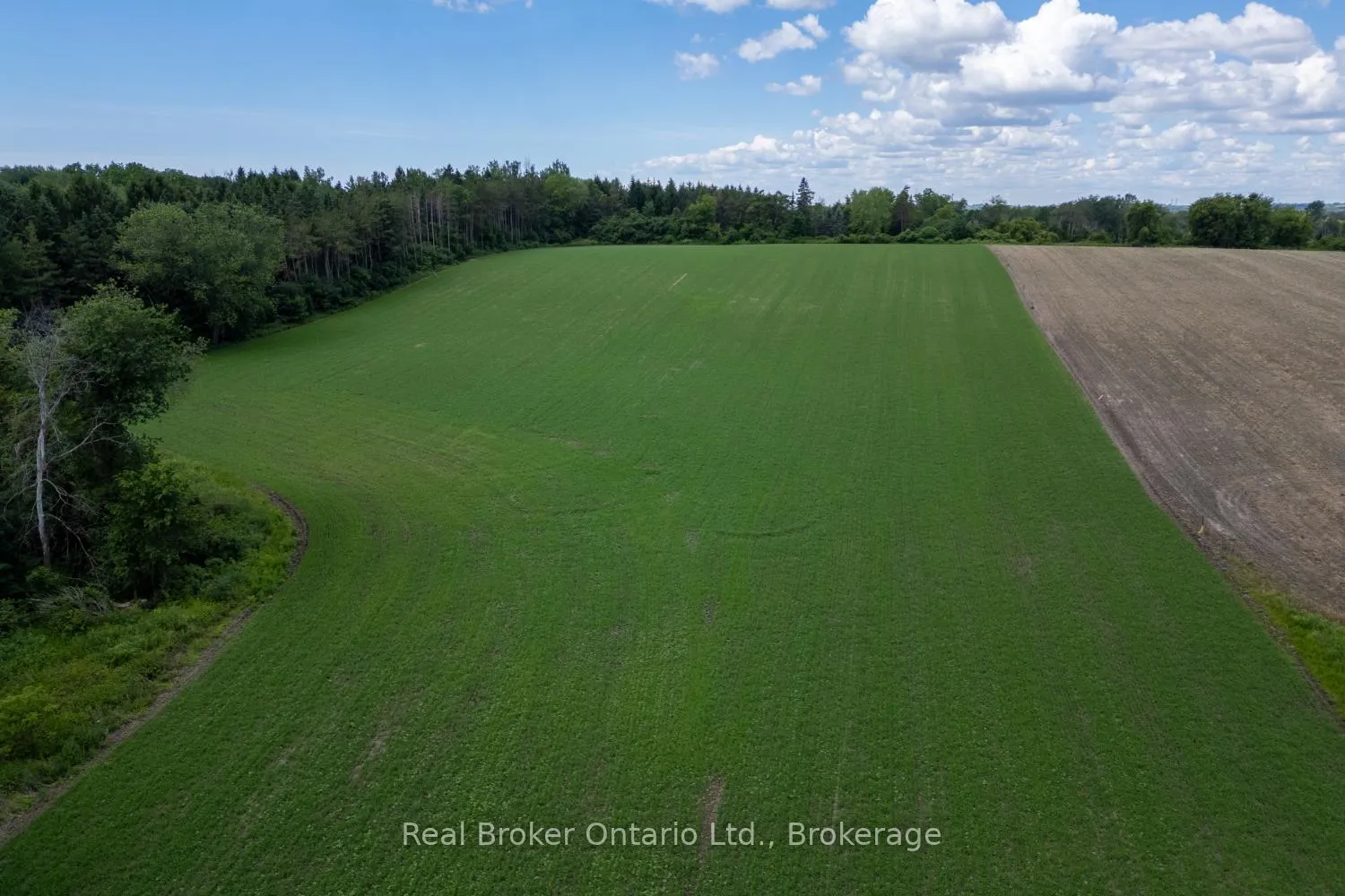 Photo 21 of 4206 Middle Road, Clarington, Rural Clarington — HOMEH