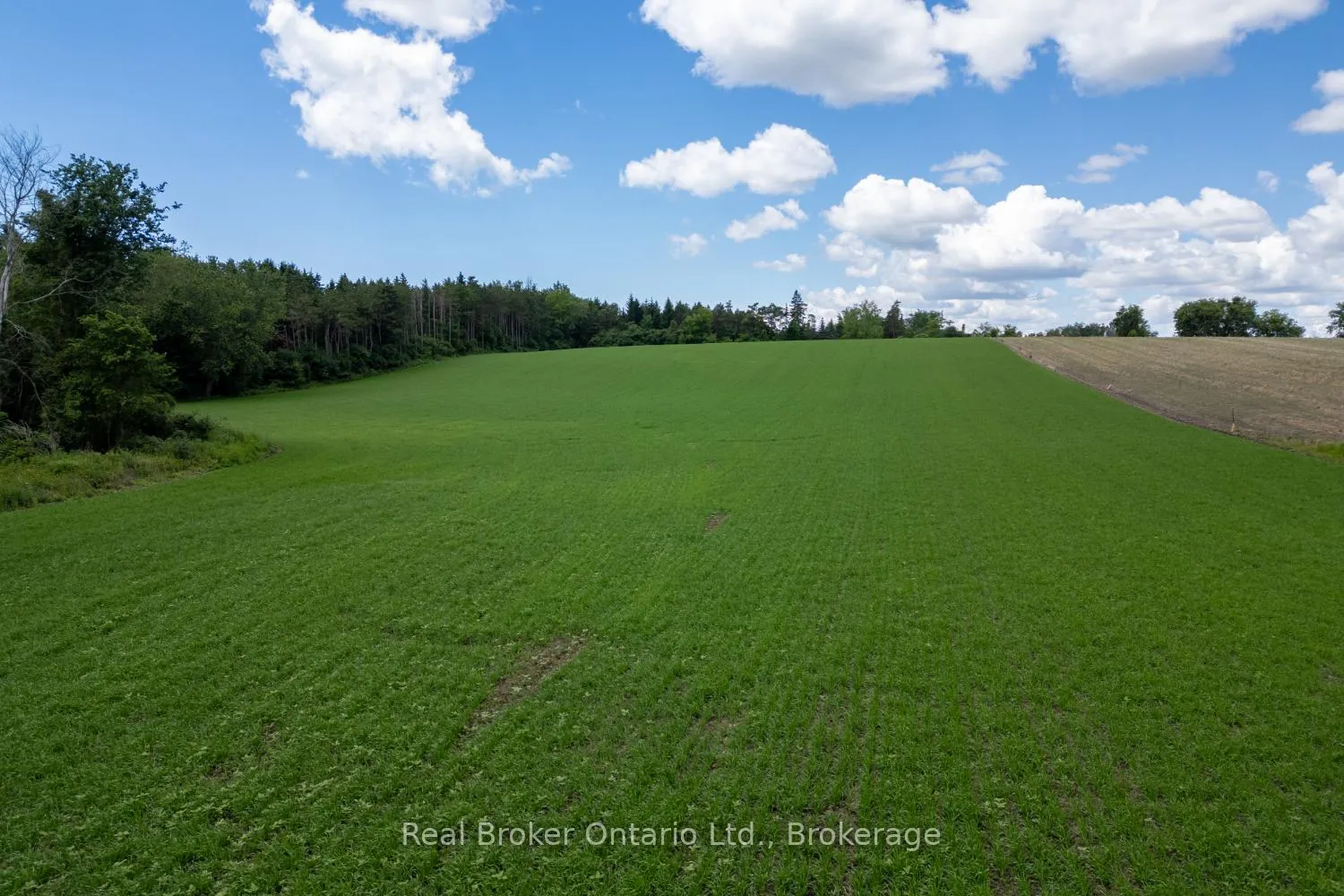 Photo 22 of 4206 Middle Road, Clarington, Rural Clarington — HOMEH